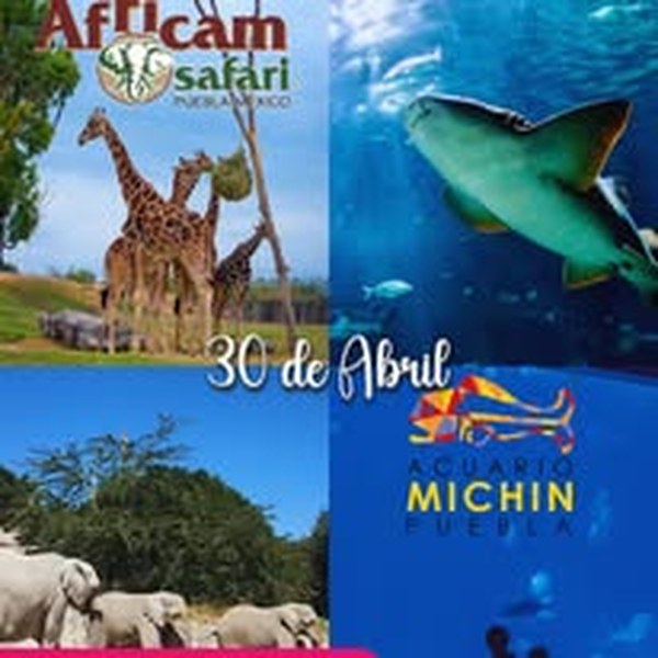 Africam Safari y Acuario Michin